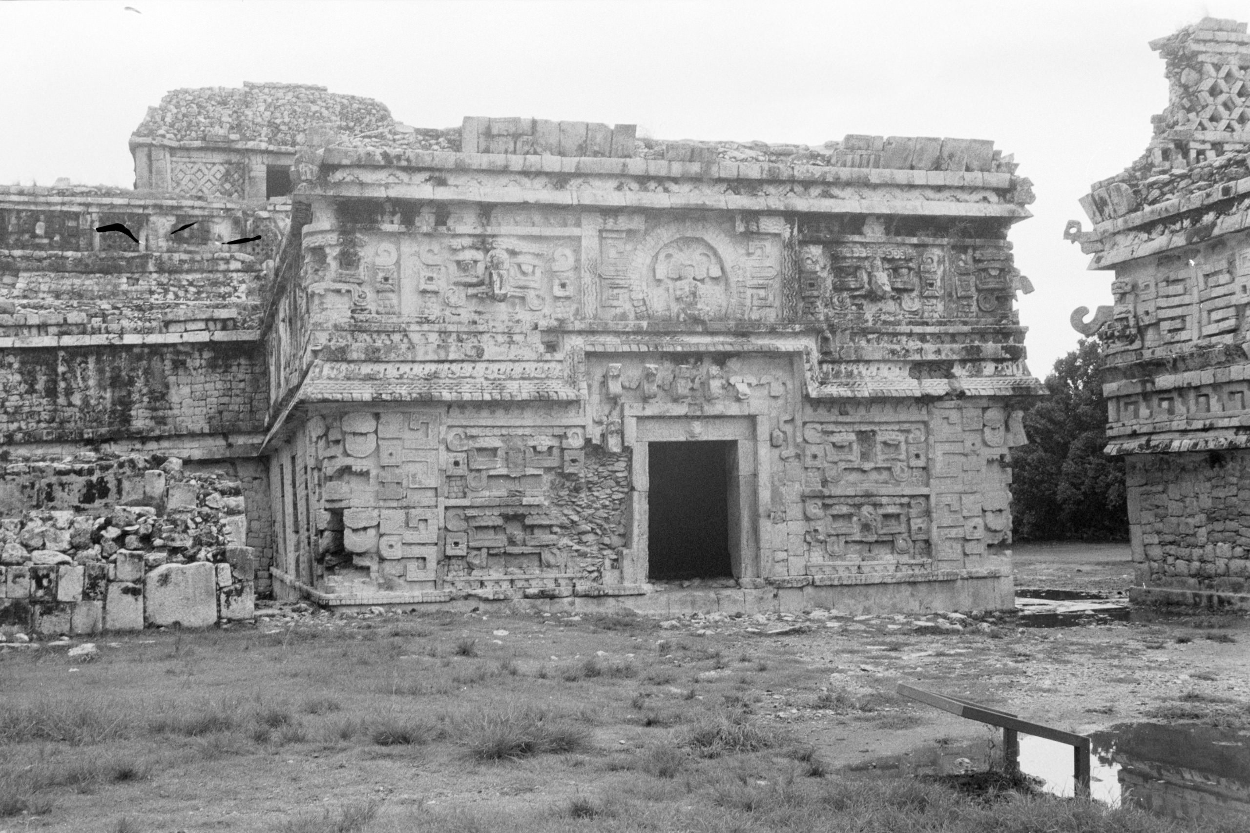 AHP FilmScan 240807 0702